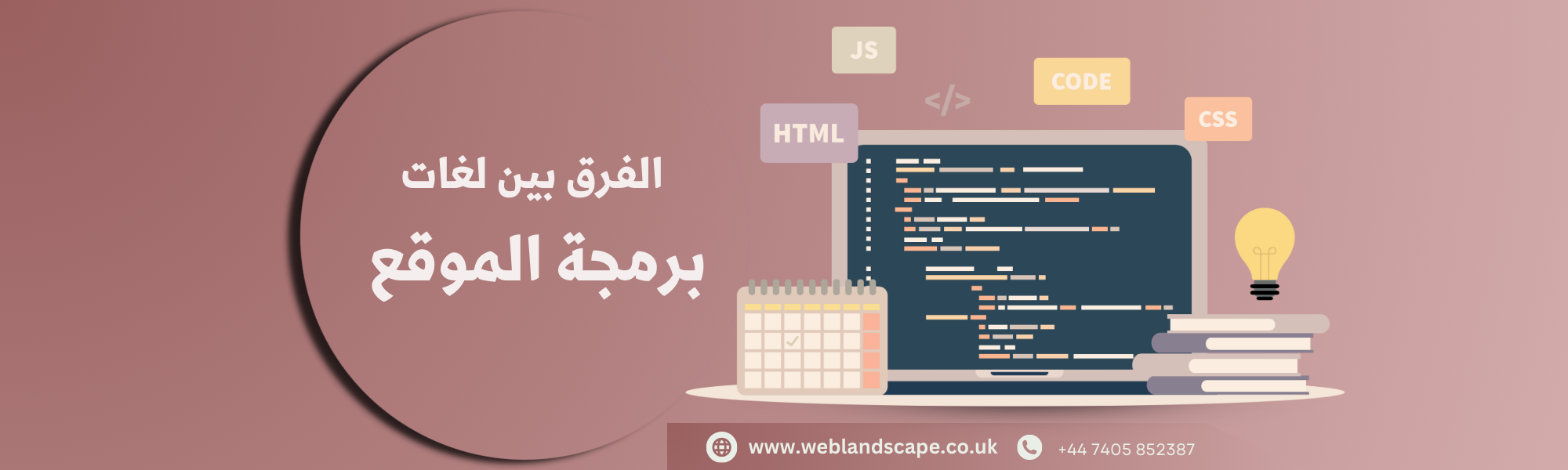 الفرق بين لغات برمجة الموقع